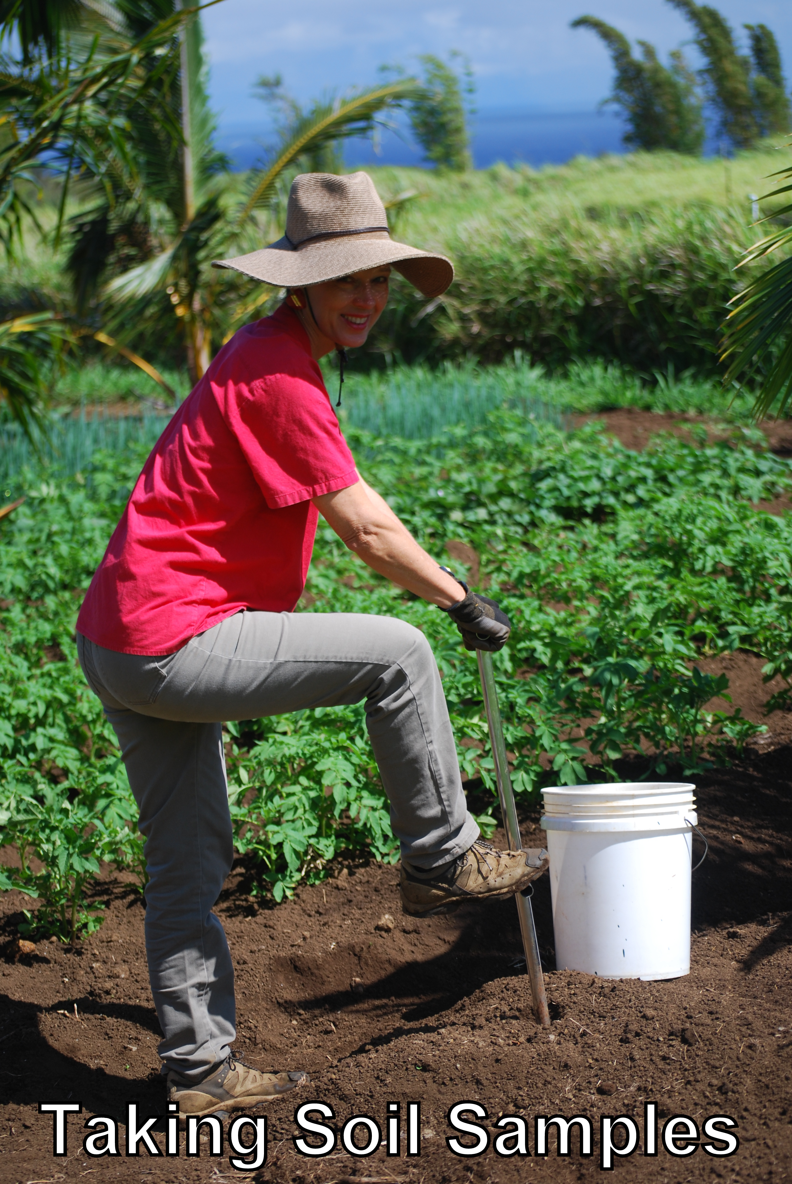 Taking soil samples text